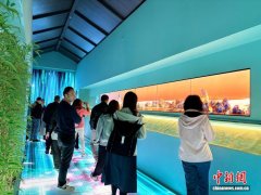 台湾青年湖南行：用“科技之笔”绘就两岸融合发展新画卷